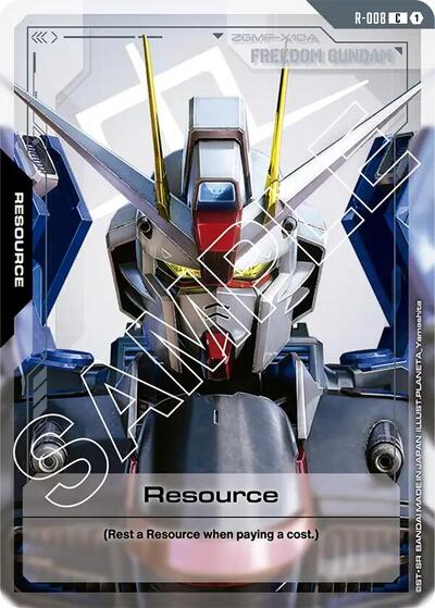 Resource R 008 [C] (R-008)