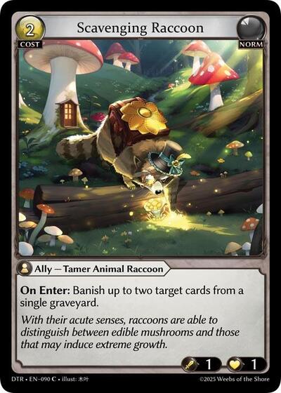 Scavenging Raccoon [Normal] [DTR]